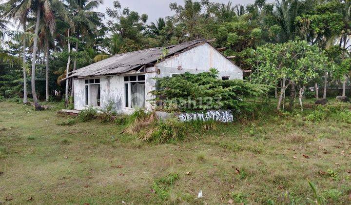 Tanah Pesisir Pantai Anyer 2,3 Ha Cocok Dijadikan Tempat Usaha 2