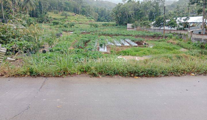 Tanah Perbatasan Waringinkurung Cikerai Cilegon 1