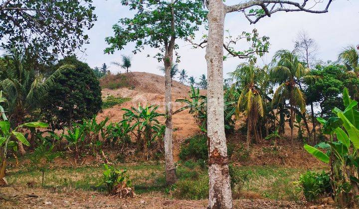 Tanah di gunung batu cocok untuk quarry SHM 2