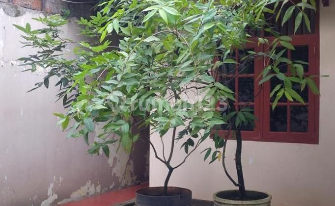 Rumah Kavling Murah Tanah Luas Di Kemangsari, Jatibening Baru, Pondok Gede 2