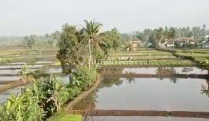 Tanah SHM Cianjur  1