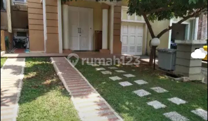 Tusa House Cluster Alexandrite Gs