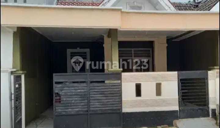 House in Front of the Park