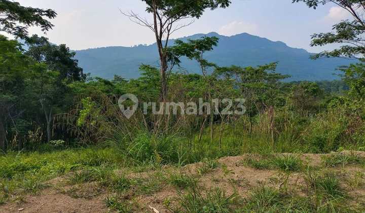 Land View Mountain Bogor