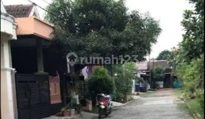 Rumah Hadap Taman Terjangkau
