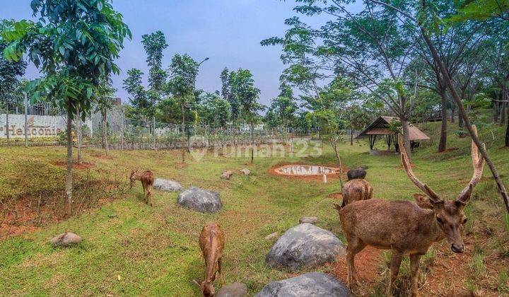 Jarang Ada Dijual Rumah Mewah Di De Maja, De Park, Bsd City 2