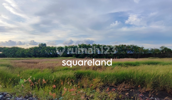 QUICK SALE OF INDUSTRIAL LAND ON BOJONEGARA MAIN ROAD, SERANG, BANTEN, NEAR EAST CILEGON TOLL ROAD ACCESS