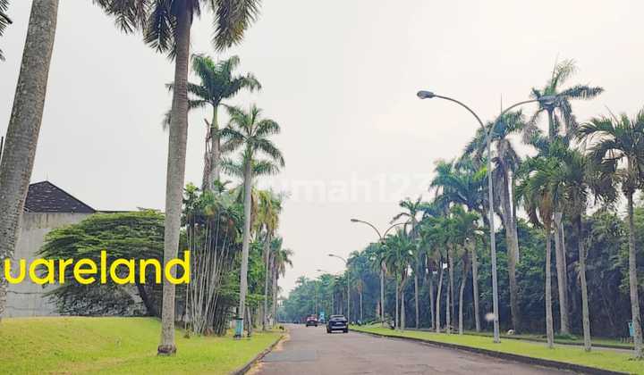Paling Murah Turun Harga Kavling Bukit Golf BSD Dekat Damai Indah Golf BSD Paling Murah Turun Harga Kavling Bukit Golf BSD Dekat Damai Indah Golf BSD