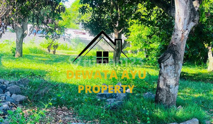 Tanah Premium di Sanur