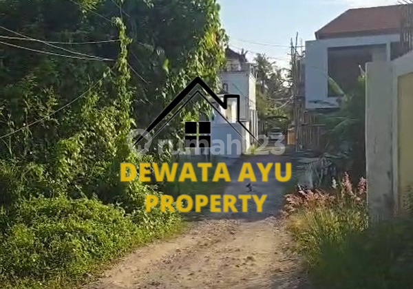 LAHAN JUAL LUAS 218M2 VIEW SAWAH LOKASI SABA GIANYAR LAHAN JUAL LUAS 218M2 VIEW SAWAH LOKASI SABA GIANYAR