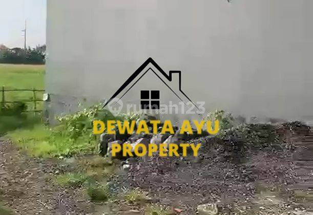 Rumah 1 Lantai Butuh Renovasi Lahan 100M2 3 Kamar Di Penyaringan 2