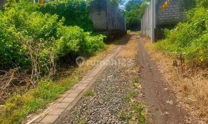 Lahan Luas 479m2 Lokasi Di Sekar Sari Dentim  1