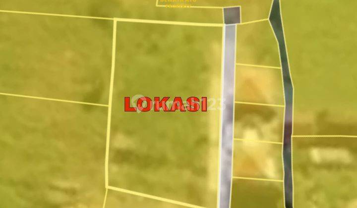 Lahan 1000m2 View Sawah Itr Pemukiman Di Dalung Badung 2