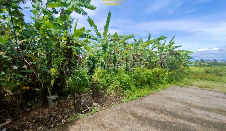 Lahan 1000m2 View Sawah Itr Pemukiman Di Dalung Badung 5