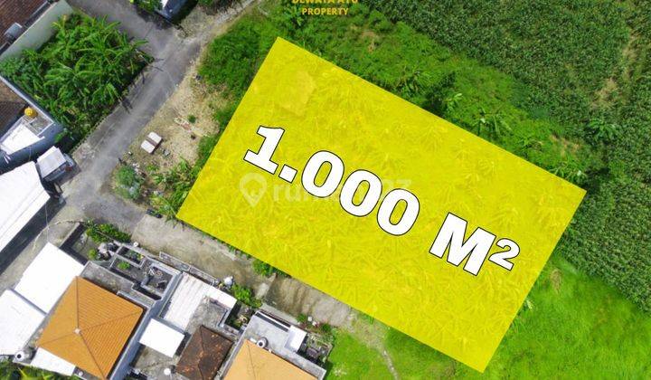 Lahan 1000m2 View Sawah Itr Pemukiman Di Dalung Badung 6
