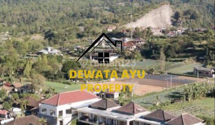 Resort Danau Batur 20 Kamar Taman Luas View Menawan Di Kintamani 2