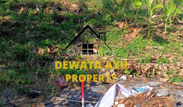 Vacant Land Position Hook 200m2 In Tukad Bataghari Panjer  1