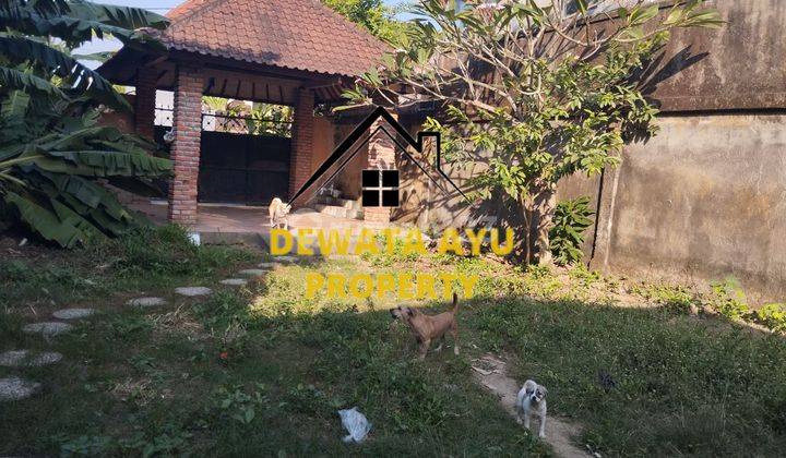 Land Area 525m2 Small Building Location Sanur 1