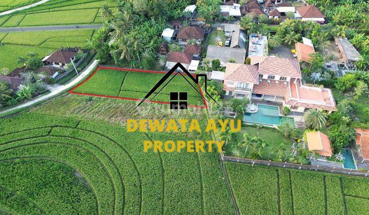 700m2 Rice Field View Land Villa Environment in Tibubiyu Tabanan 2