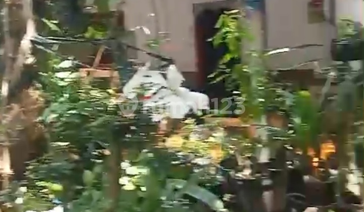 Leased Land With An Area of 210m2 At Beachside Sanur Leased Land With An Area of 210m2 At Beachside Sanur