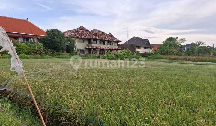 Tanah Sewa Zona Kuning Minimal 10 Are