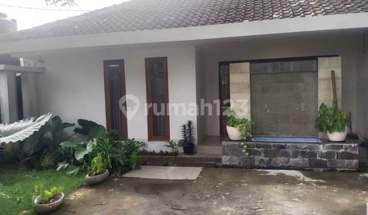 3 Bedroom Rental House in Sanur