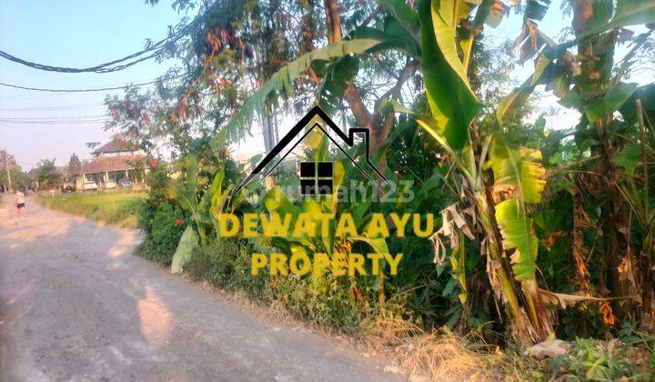 Land Area 400M2 Villa Area Sayan Ubud Location 1