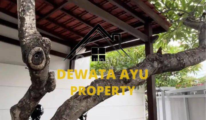 Rumah Minimalis 3 Kamar Lahan 90M2 Lokasi Bypass Sanur 2