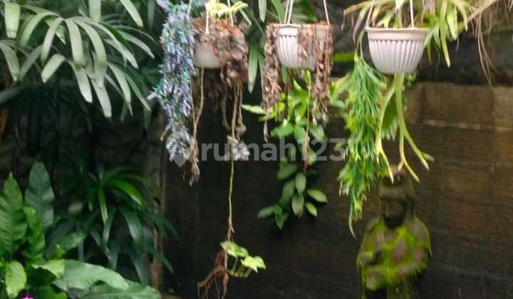 Jual Tanah Bonus Rumah di Sanur Dekat Pantai 2