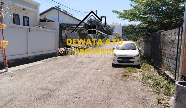 3 Bedroom House And Warehouse Land 800M2 Location In Cargo Denbar 2