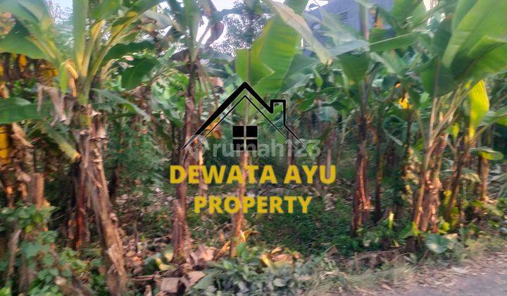 Land Area 400M2 Villa Area Sayan Ubud Location 2