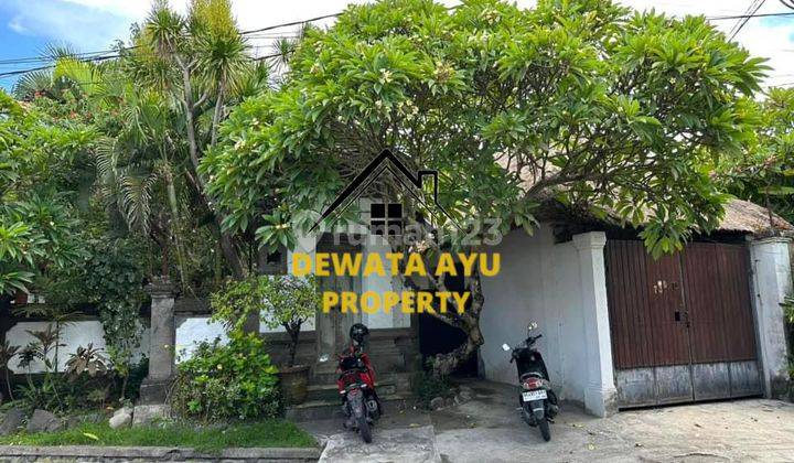 Villa Asri 3 Kamar Lahan 500M2 Furnisahed Lokasi Strategis Sanur 1