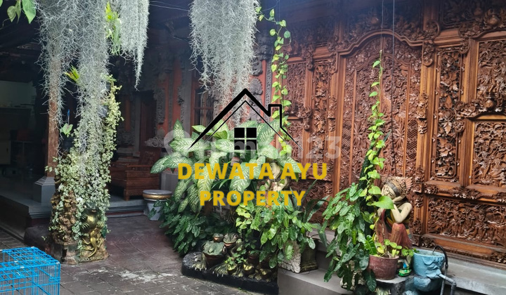 LAHAN SEWA ISI BANGUNAN LUAS 4 ARE LOKASI PUNGUTAN SANUR