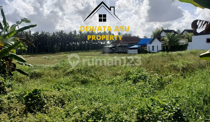 LAHN LUAS 28,99 ARE VIEW SAWAH ZONA KUNING DI KEMENUH SUKAWATI LAHN LUAS 28,99 ARE VIEW SAWAH ZONA KUNING DI KEMENUH SUKAWATI