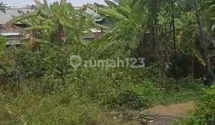 Leased Land in Sanur
