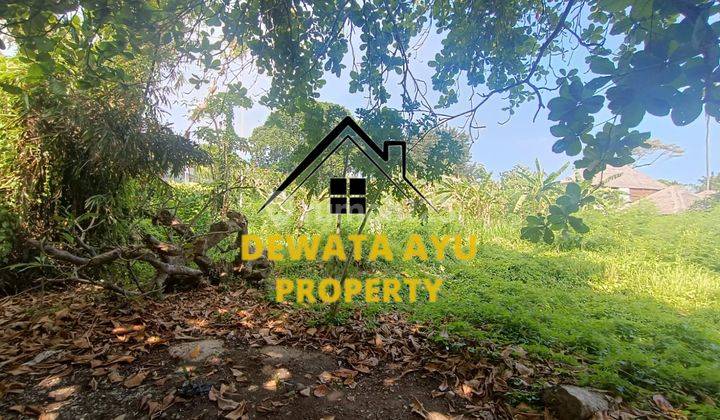 Land Area 2000M2 Near Batujimbar Beach Sanur 2