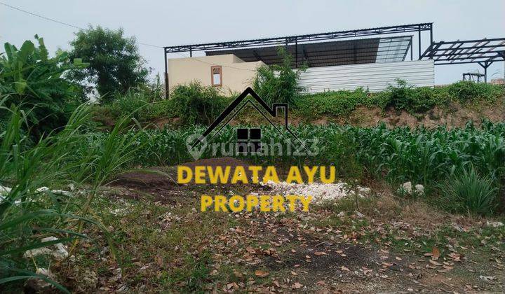 Lahan Luas 200M2 Sebidang Tanah Kosng Di Padang Galak Sanur 1