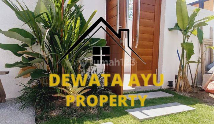  House For Lease 20 Years 2 Bed Room Land 200M2 In Sanur 2