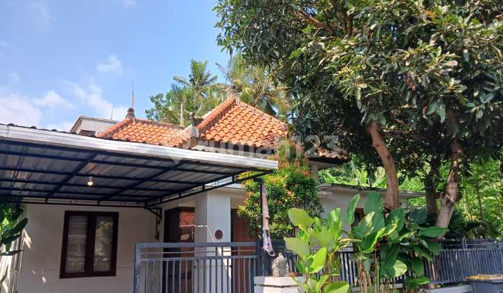 Rumah Semi Villa 3 Kamar di Sabe Gianyar