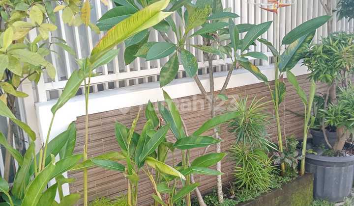 Rumah 2 Kamar Dekat Sesetan Densel