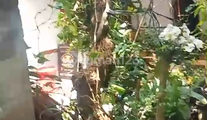 Leased Land With An Area of 210m2 At Beachside Sanur Leased Land With An Area of 210m2 At Beachside Sanur