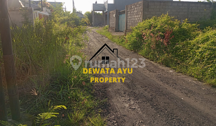 LAND 220M2 NORTH FACING AREA VILLA 5 METER ACCESS IN SANUR LAND 220M2 NORTH FACING AREA VILLA 5 METER ACCESS IN SANUR