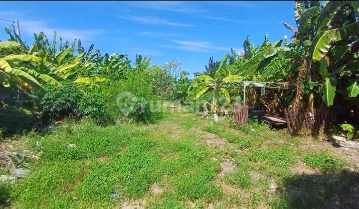 Tanah 2,5 Are di Jl Sedap Malam