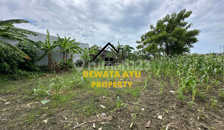 LAHAN 20 ARE COCOK UNTUK USAHA LOKASI JALAN UTAMA SEDAP MALAM