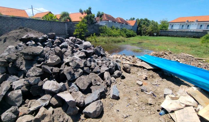 3 Are Land in Yellow Zone