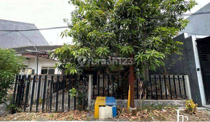 Rumah Bagus SHM di Mulyosari Tengah Siap Huni Row Jalan Lebar 1