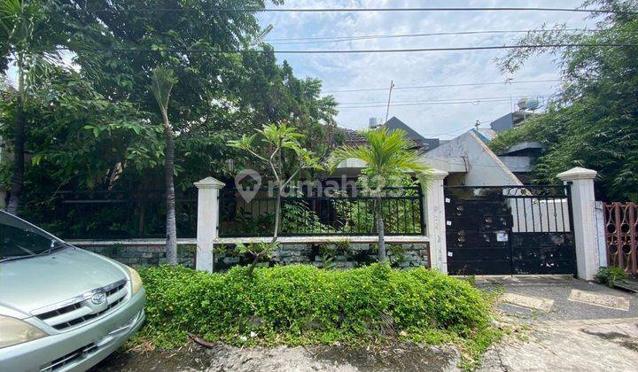 Rumah SHM Bagus di Kertajaya Indah Row Mobil Luas 1