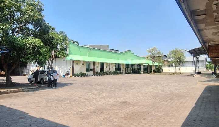 Large Good Vanilla Garden in Kepatihan Industrial Area Large Good Vanilla Garden in Kepatihan Industrial Area