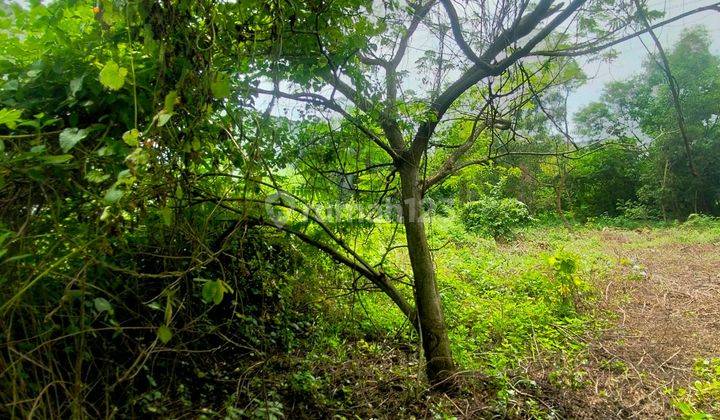 Dijual Tanah Kavling Dalam Kawasan Industri  1