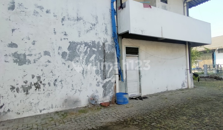 For Sale Factory In Strategic Location Within The Area For Sale Factory In Strategic Location Within The Area